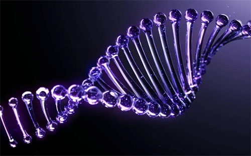 歐萊雅獨家專利PDRN示意圖